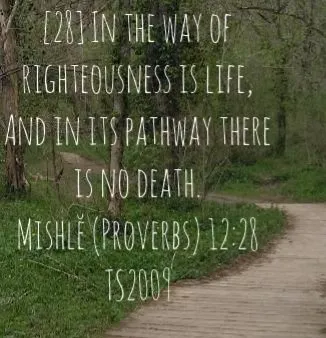 The Way of Messiah Goshen